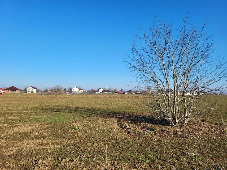 Parcelă de Teren pentru Construcție în Moara Vlăsiei, Ilfov - Zona Căciulați - imaginea 2
